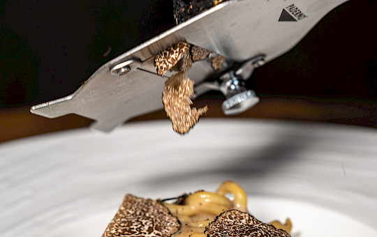 Gallery Delights - Semolina bigoli with anchovies, cuttlefish and summer black truffle Semolina bigoli with anchovies, cuttlefish and summer black truffle.