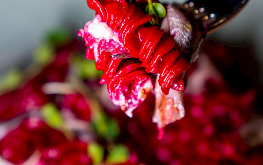 Gallery Piatti - dsc4302_1.jpg